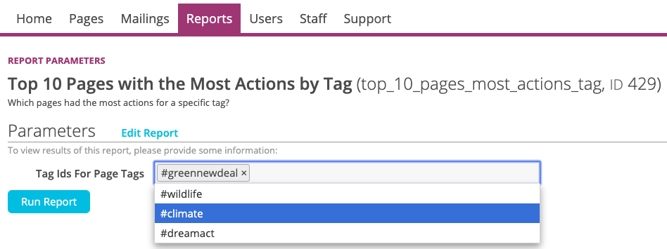 This report asks which tag we want to see results for before it runs.