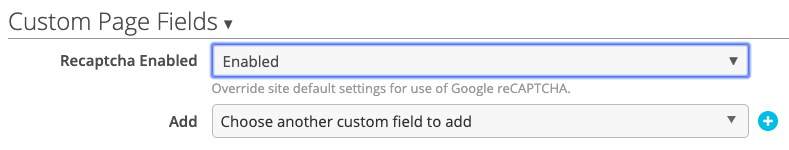 Adding the custom page field "Recaptcha Enabled"